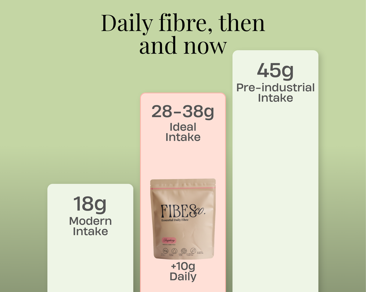 Modern food gives your gut bacteria less fibre than the food it replaced.