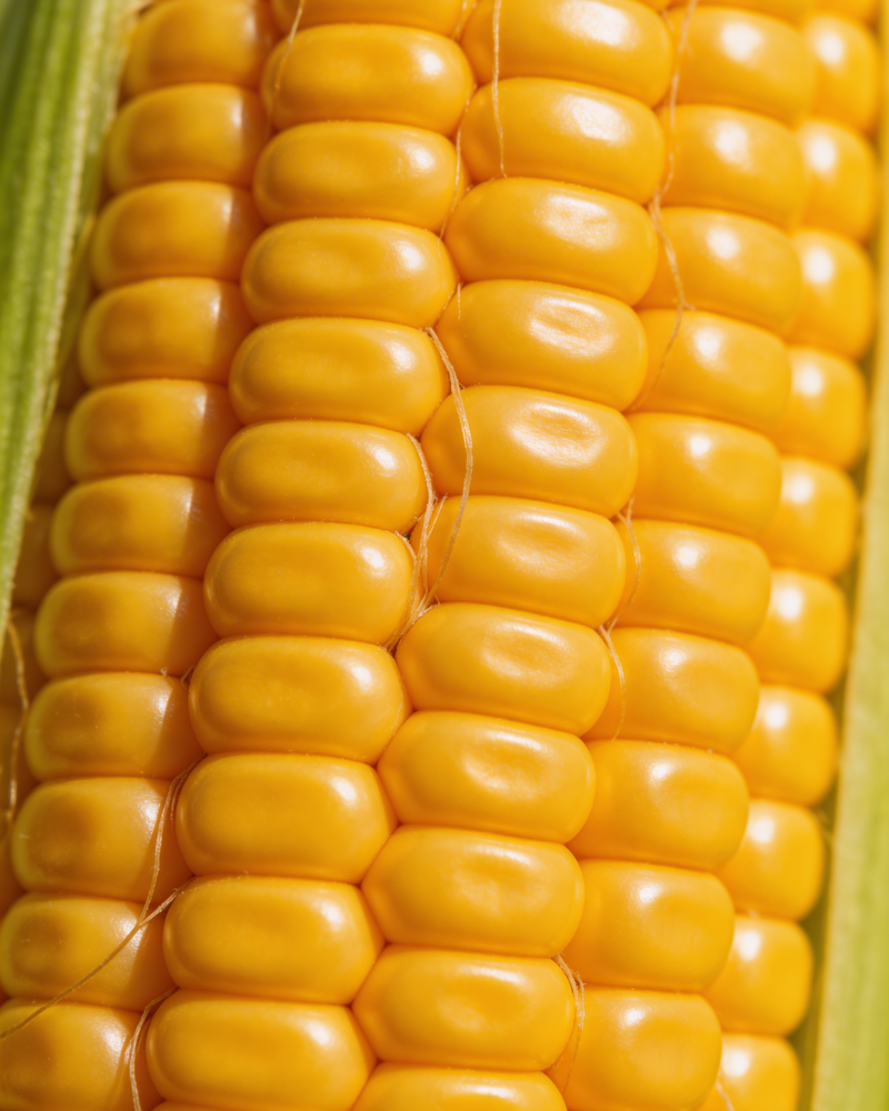 Soluble Corn Fibre